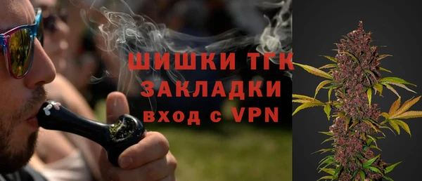 соль ск Алзамай