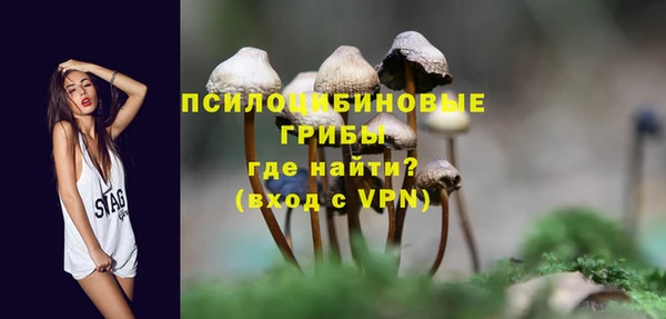 соль ск Алзамай