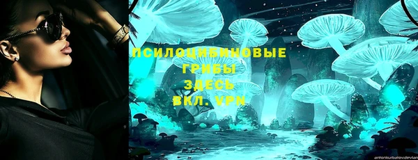 амф Алексин